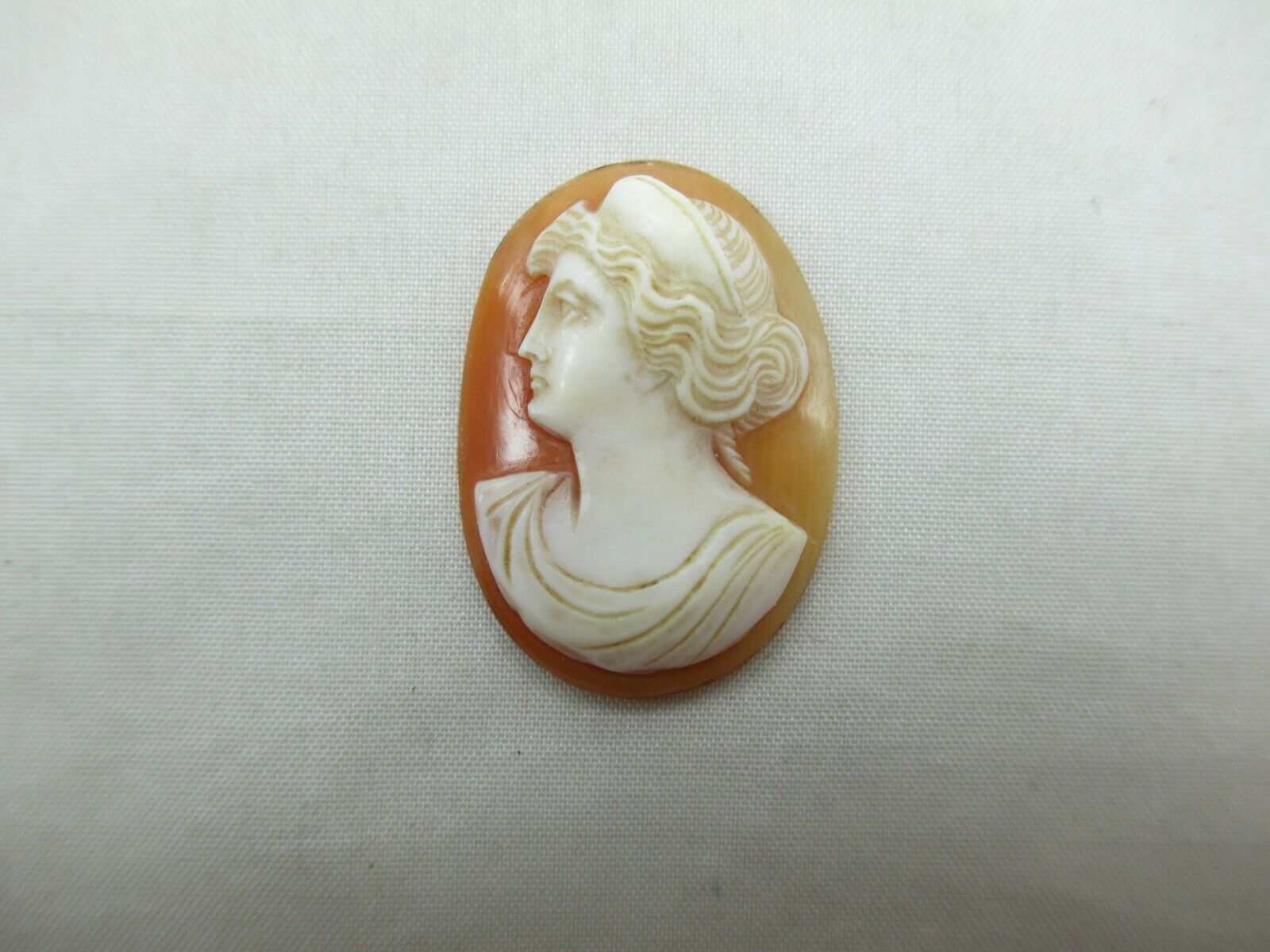Vintage Antique Loose Carved Shell Cameo Convex Facing Left 30mm X 21.9mm 501e