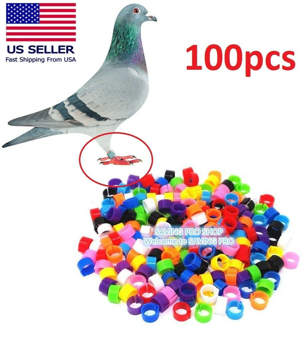 100pcs Bird Rings Leg Bands For Pigeon Parrot Finch Canary Hatch Poultry Rings