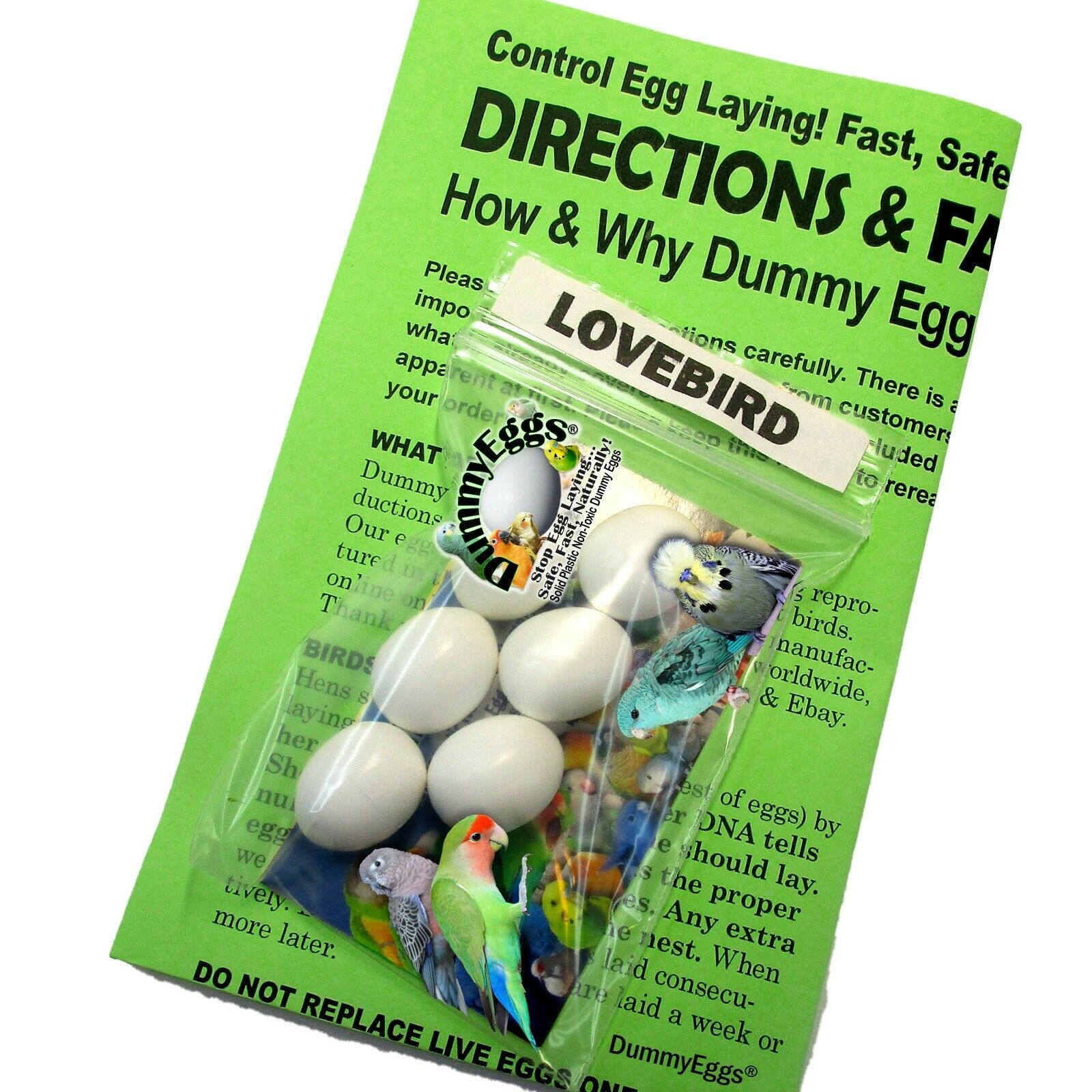 DUMMY EGGS STOP LAYING! LOVEBIRD 7/8